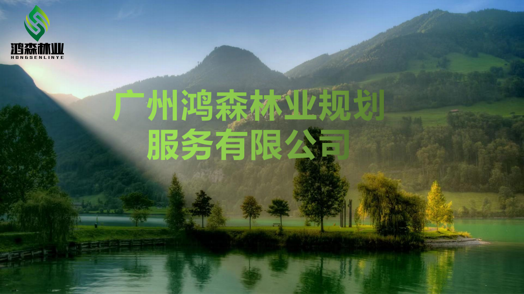 鸿森1.png